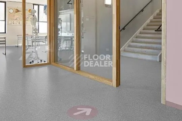 Линолеум Forbo Sphera Element 51005 Contrast dark grey фото 1 | FLOORDEALER